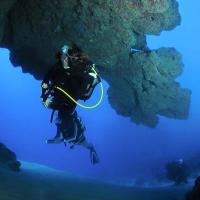 Album Bouba Diving 36