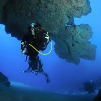 Album Bouba Diving 36